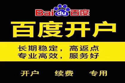 竞价广告投放技巧与案例分析