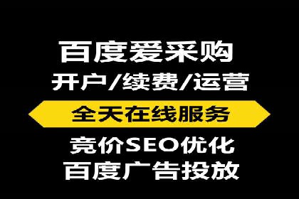 成功运用SEM技术提升网站流量的案例研究